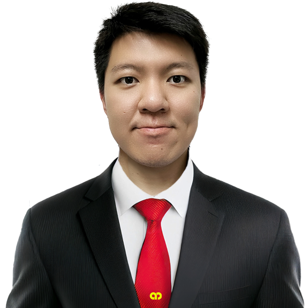 Dealer Profile - AmEquities
